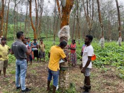 Tapper Training Programmes at Lalan Rubber (Pvt) Ltd., Mahaoya Group